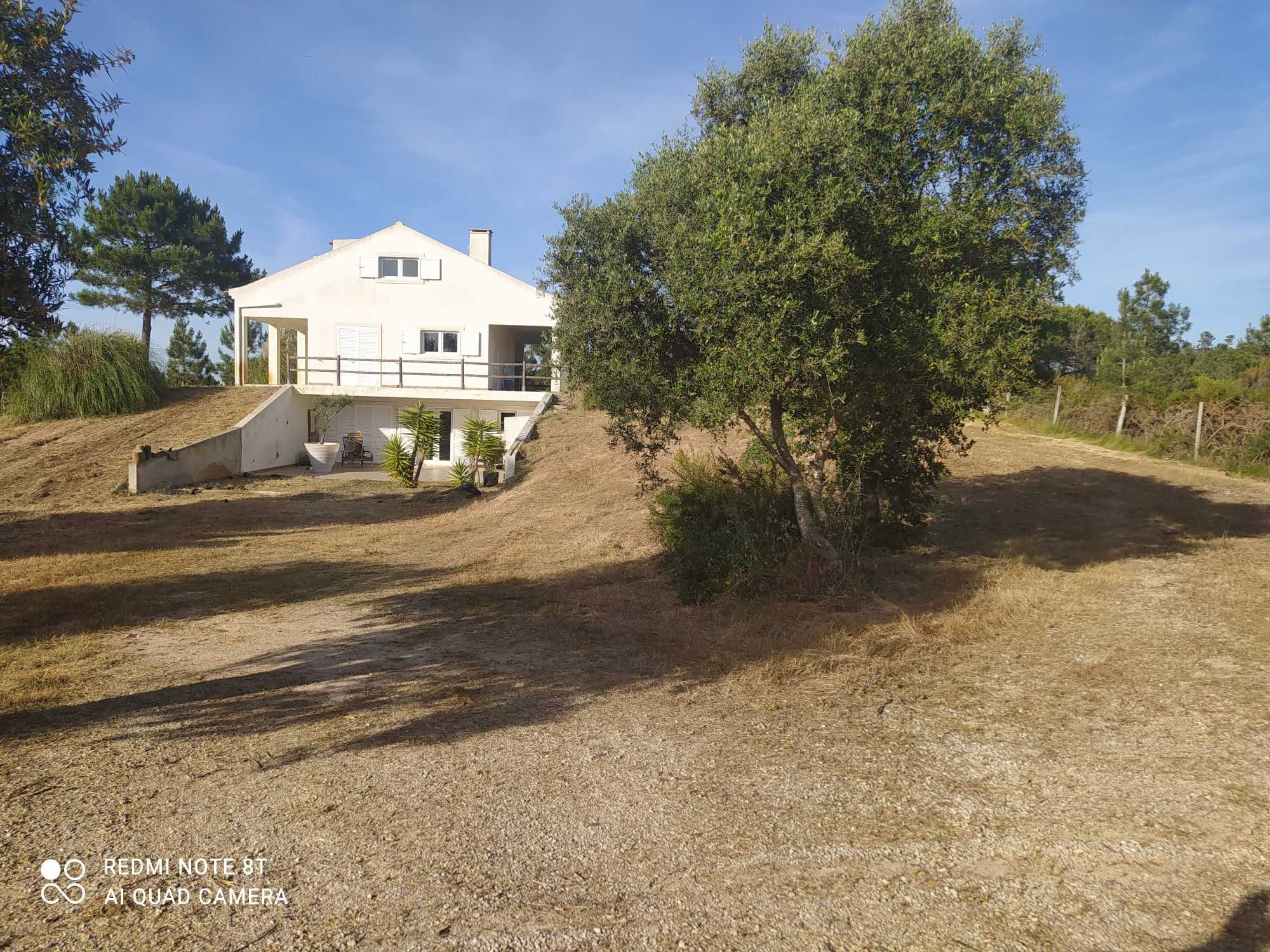 Limpeza de terrenos e matas florestais e agrícolas e poda de árvores