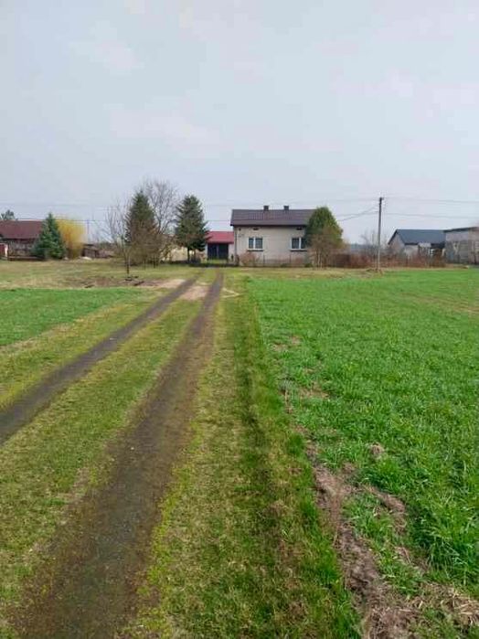 Dom z dzialką 5400 metrów