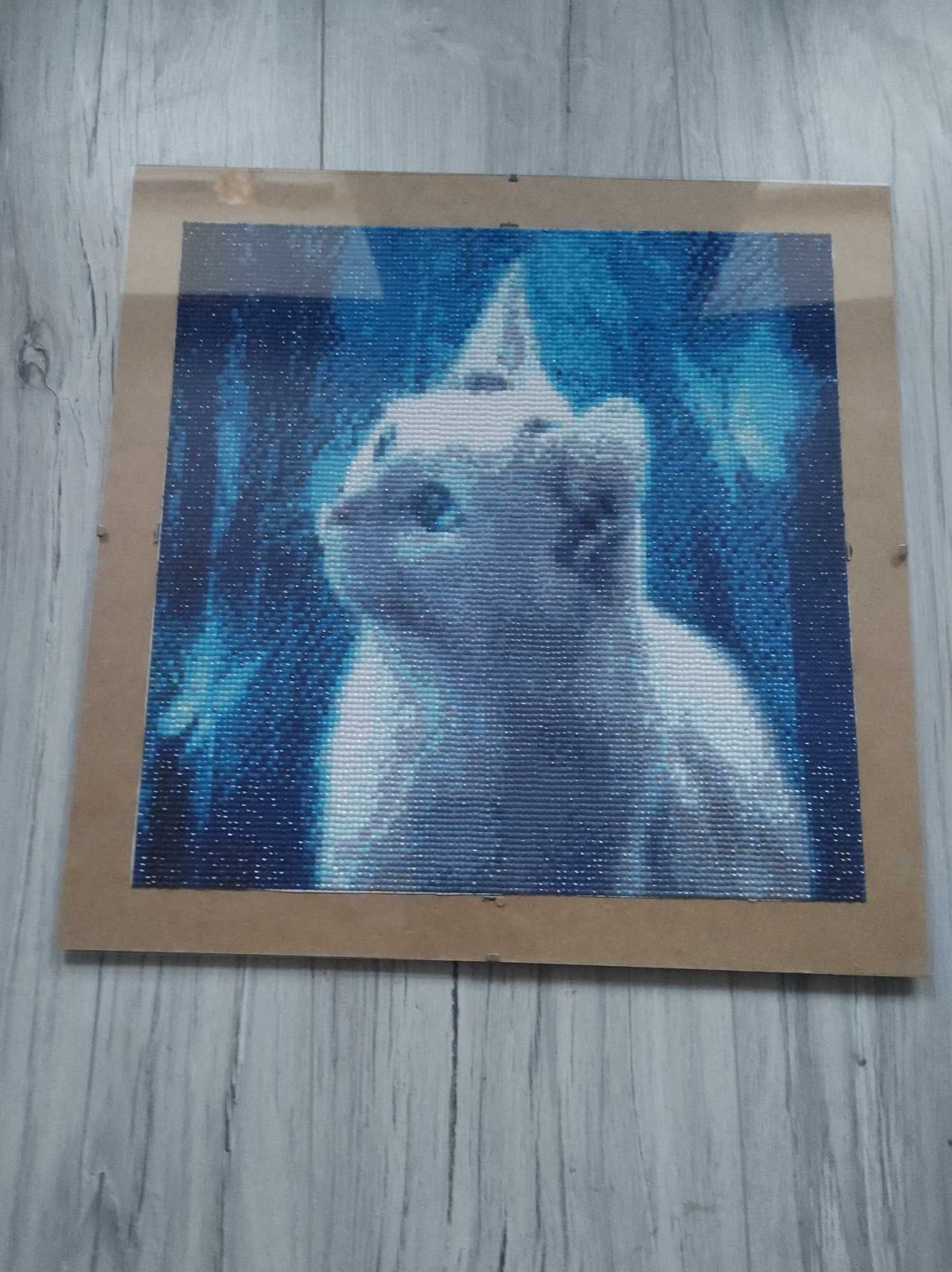 Obraz haftu diamentowego kot