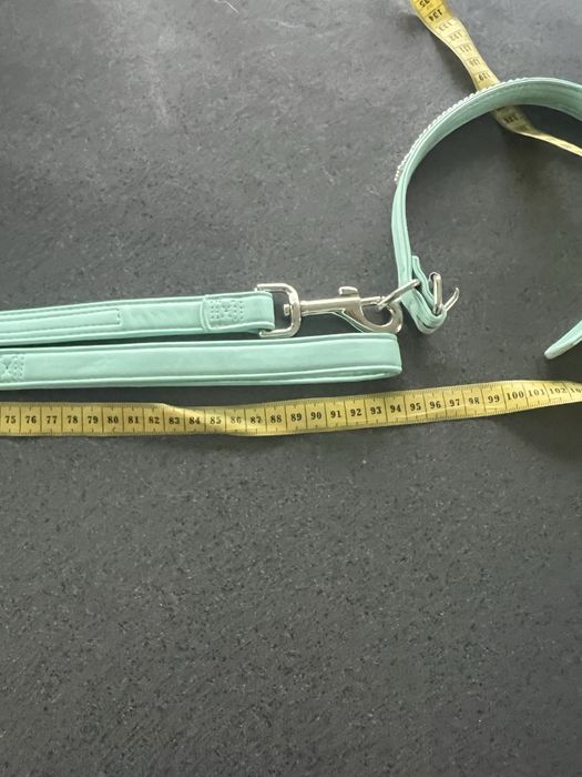 Obroza u smycz dla psa.Smycz 186 cm