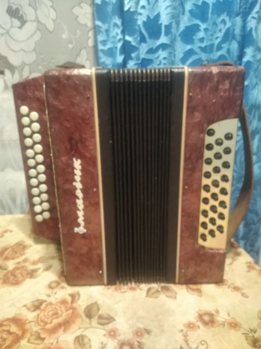 Гармошки для колядок до Різдвяних свят.для новачків і музикантів.