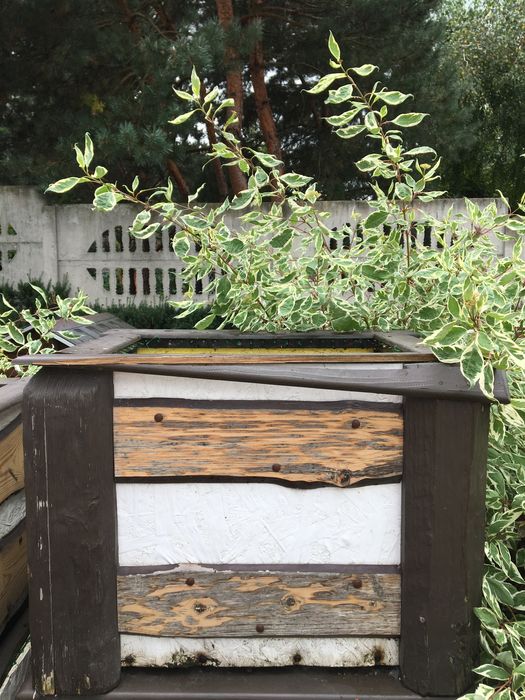 Клумби для рослин