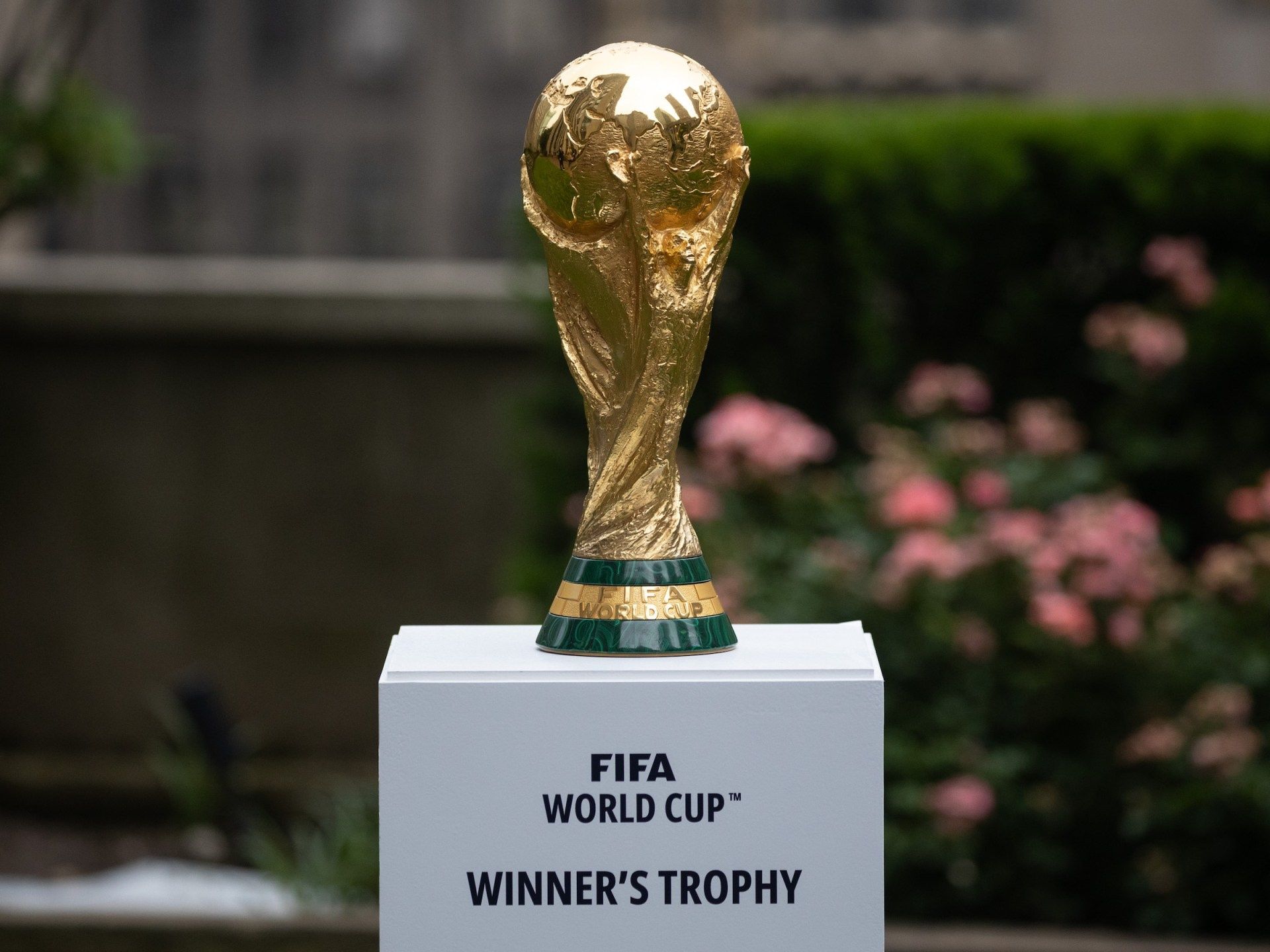 Золотий Кубок Світу з футболу (FIFA World Cup)