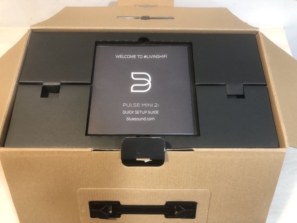 Coluna activa Bluesound Pulse Mini 2i