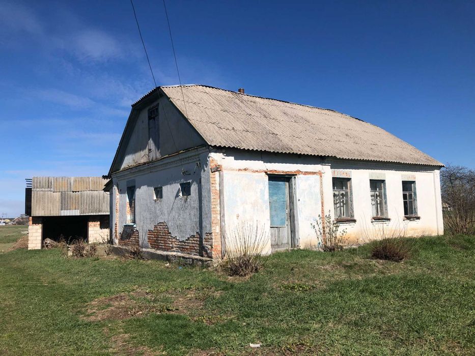 Продам будинок 80 км.від м.Києва смт.Брусилів (Водотиї)