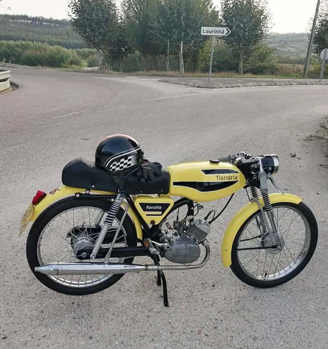 Flandria mistral,  rara.