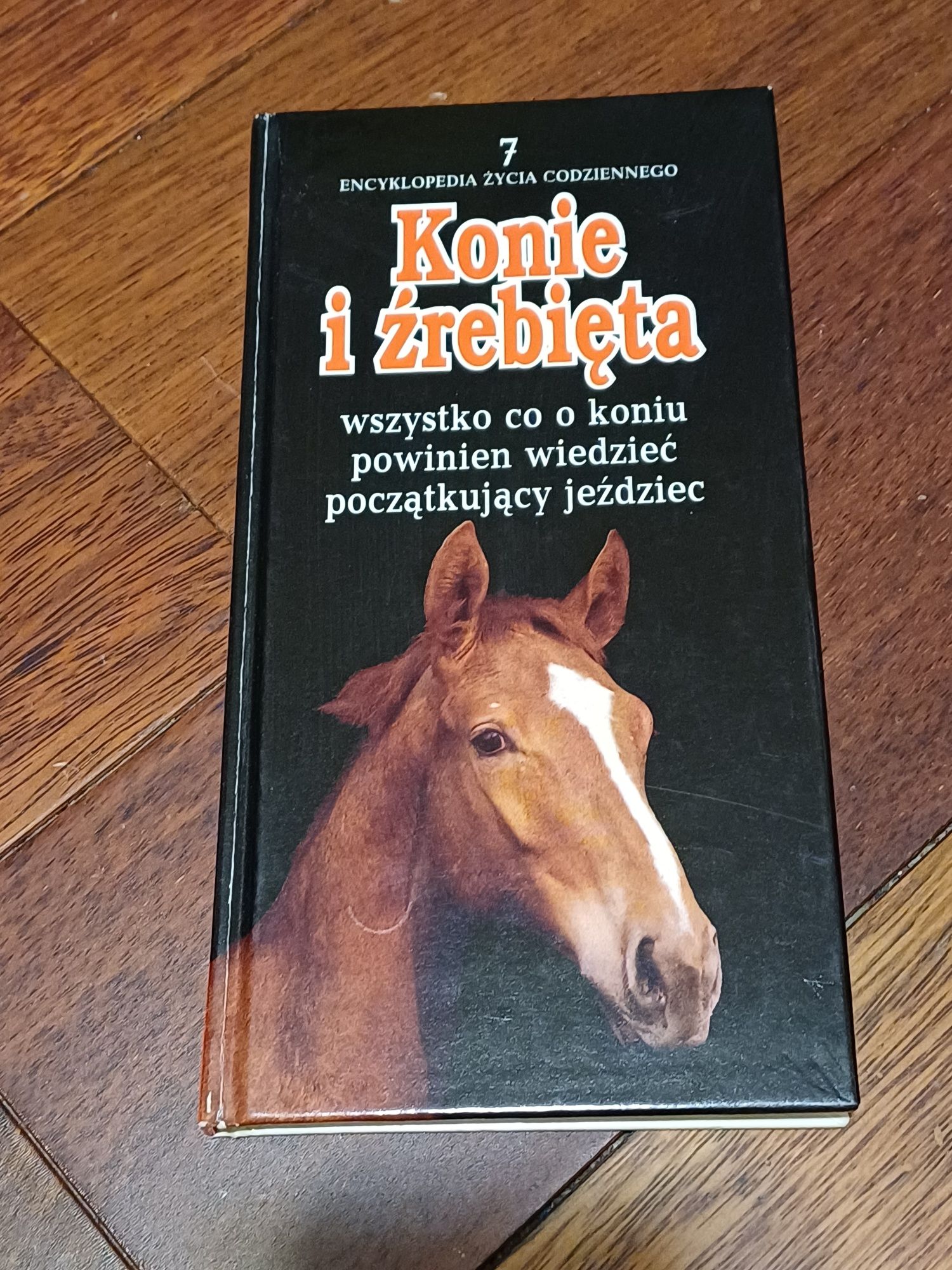 Encyklopedia konie i źrebięta 1993
