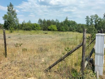 Działka przy lesie Dobrojewo