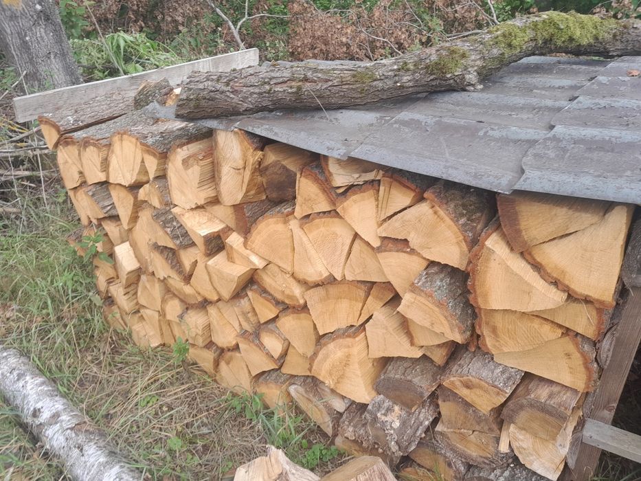 Suche drewno kominkowe-Olcha