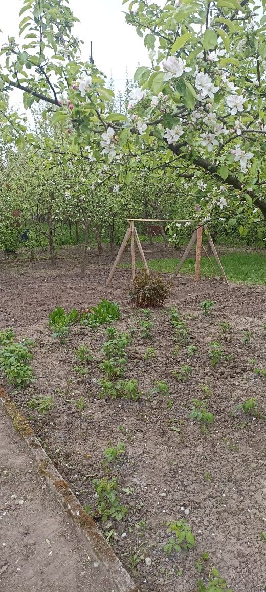 Продам дачу та земельну ділянку