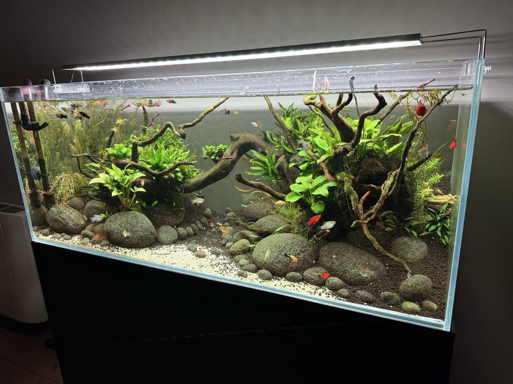 Aquario completo com tratamento de agua e iluminacao Led