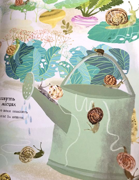 Велика книжка про комах / Книга про малих істот