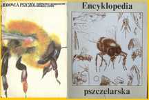 Hodowla pszczół / Encyklopedia pszczelarska / pszczoły/ pszczelarstwo