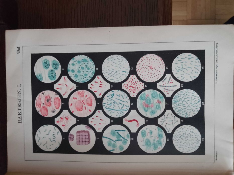 Piękne litografie