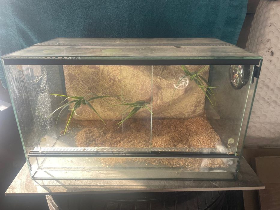 Terrarium szklane 50x30x30