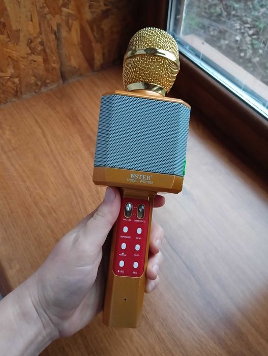 Дитячий мікрофон