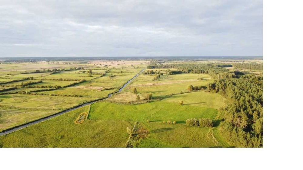 sprzedam działkę 1,3 ha,  teren z dostępem do rzeki Drwęcy.