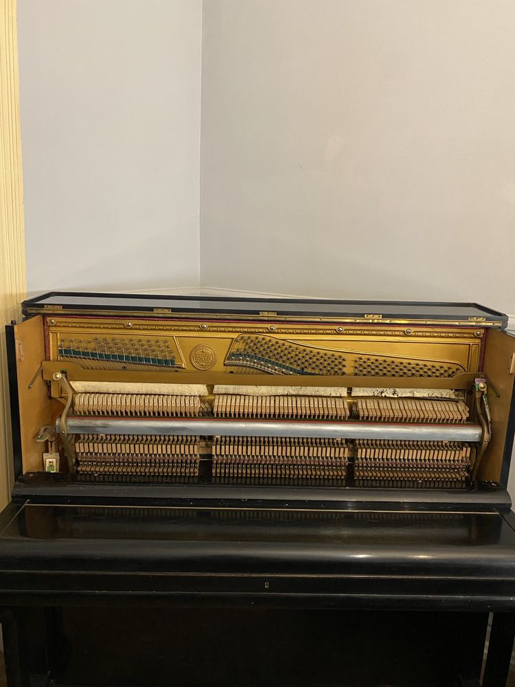 Piano Goetze Preto
