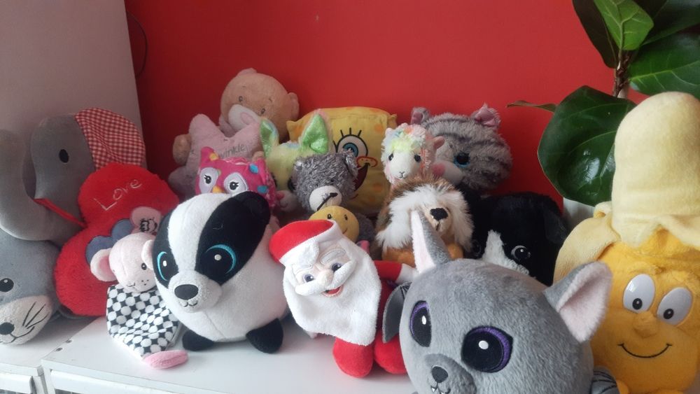 Duzy karton maskotek dla psa do zabawy cena za całość