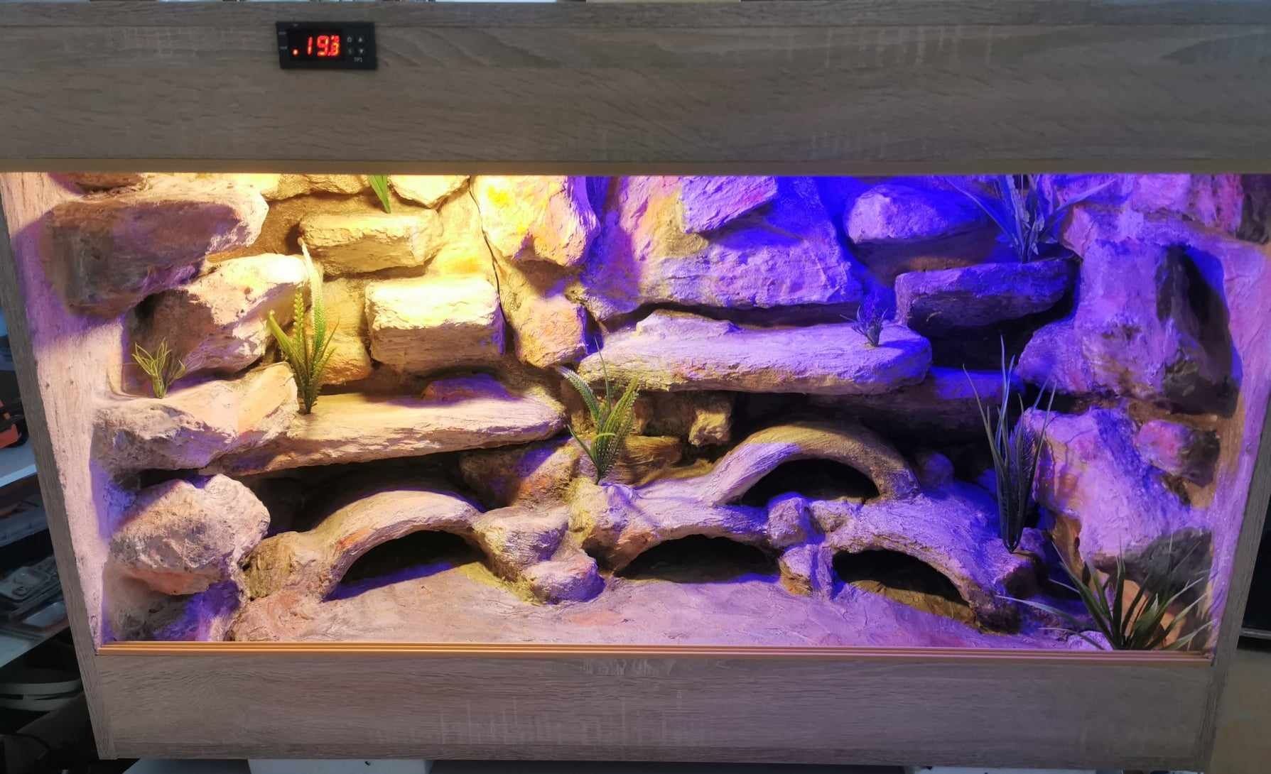 Terrarium 120x40x40 dla gekona gekonów na zamówienie