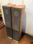 Glosniki Magnat Quantum 655