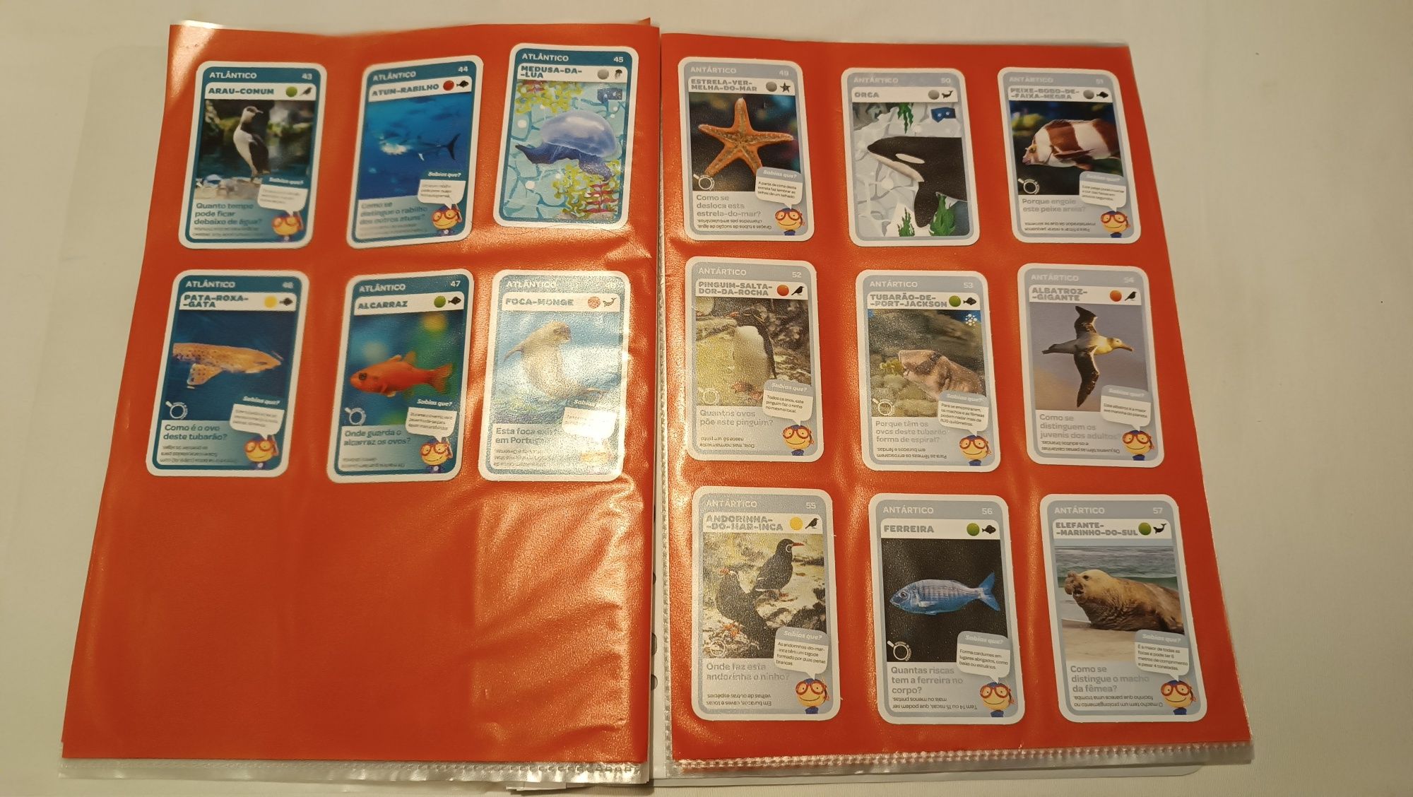 Oceanos. Cartas Pingo Doce. 120 cartas