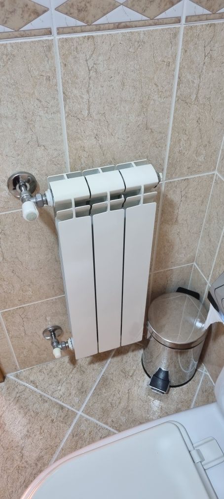 Caldeira e 7 radiadores a funcionar