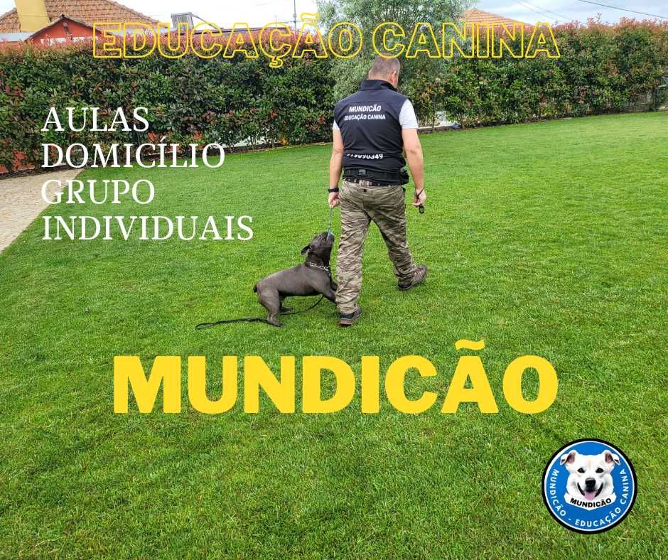 Treinador de Cães | Mundicão Treino de Obediência