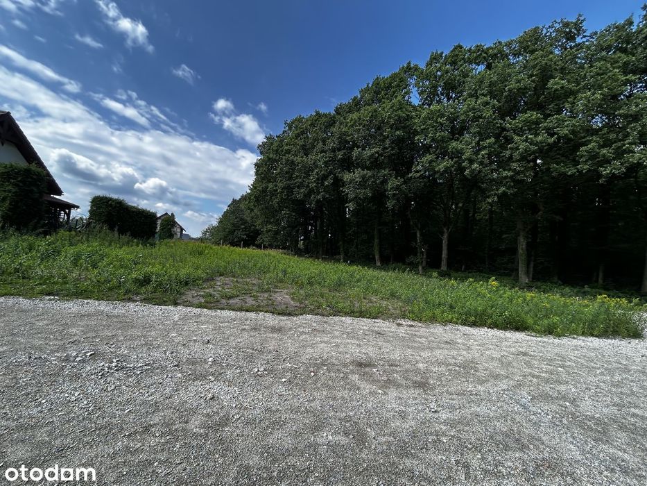 Sprzedam działkę budowlaną uzbrojoną z własnym lasem