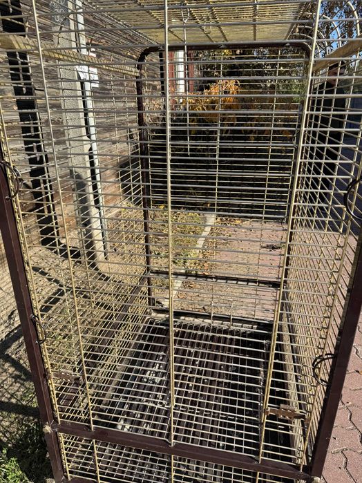 Duża Woliera Klatka Wolnostojąca Dla Ptaków Papuga Nimfa Kakadu Żako