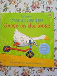Książka dla dzieci Goose on the Loose Phonics Readers Usborne po angie