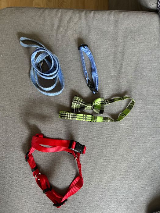 Szelki dla małego psa lub szczeniaka obroża smycz