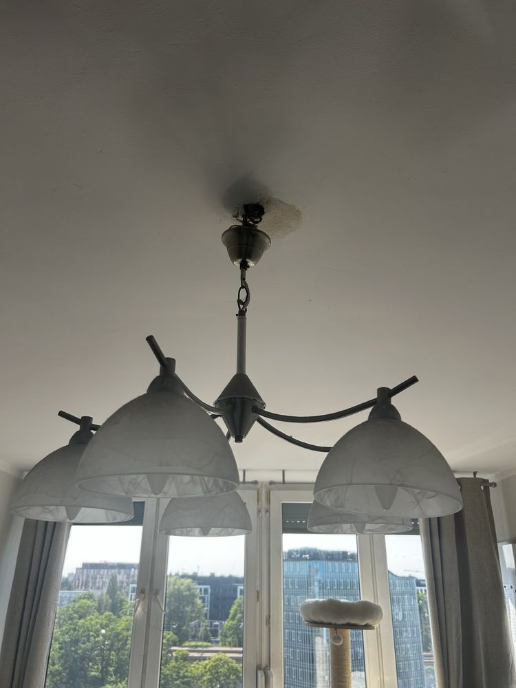 Zestaw lamp, zyradol do stolowego dziennego