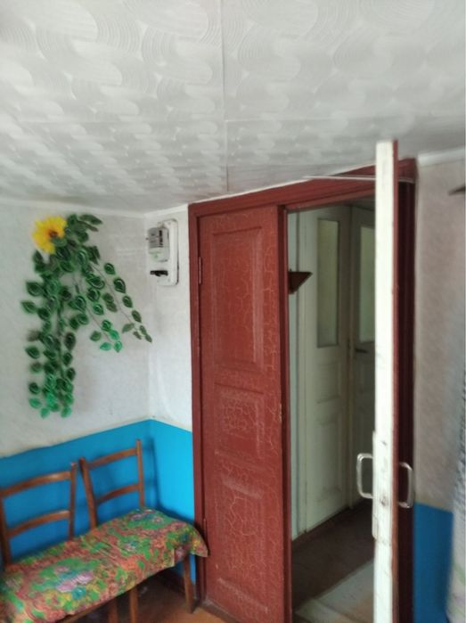 Будинок з садком та ділянкою