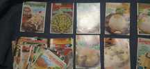 Revistas Segredo de Cozinha