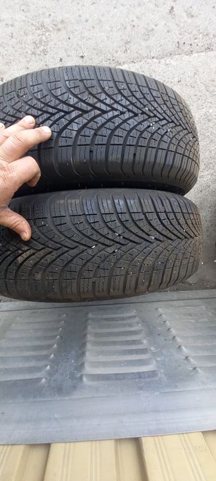 Пара ризини 175/65R14 DEBICA.