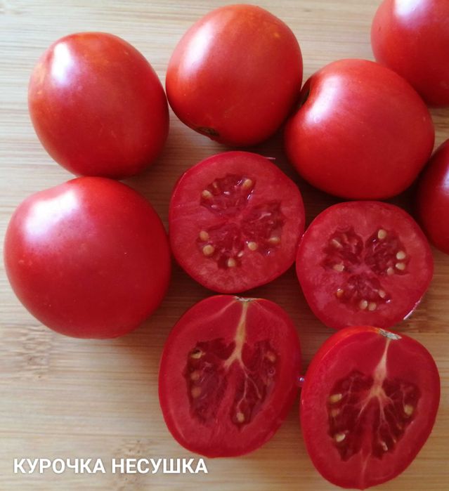 Помідори. Набір помідор.насіння помідор,домашние семена,семена помидор