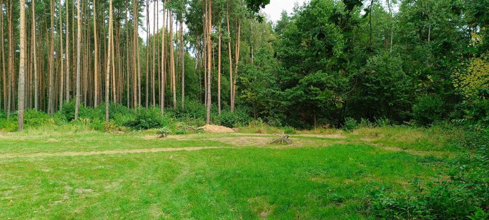 Sprzedam Działkę Leśno-Rekreacyjną