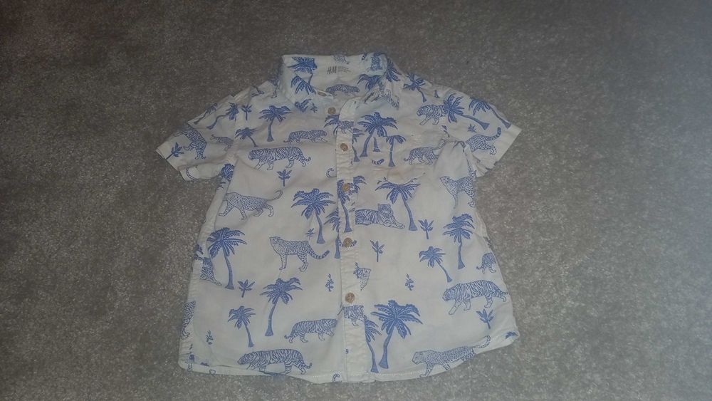 Koszula z krótkim rękawem dla chłopca 98 cm/104 cm H&M