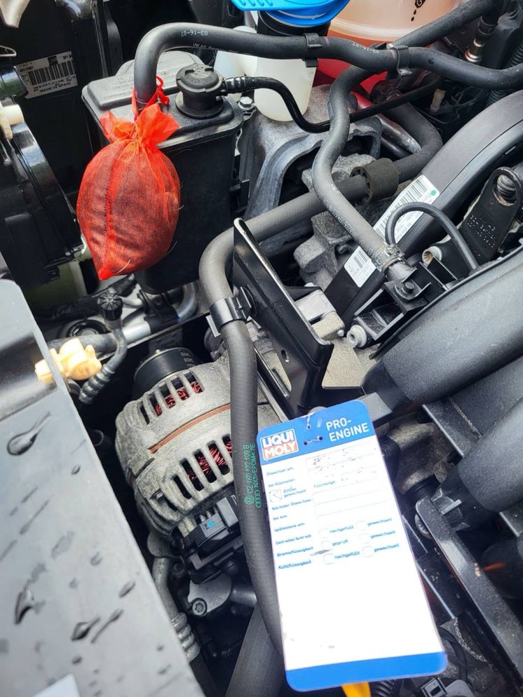Seat Altea 2008 рік