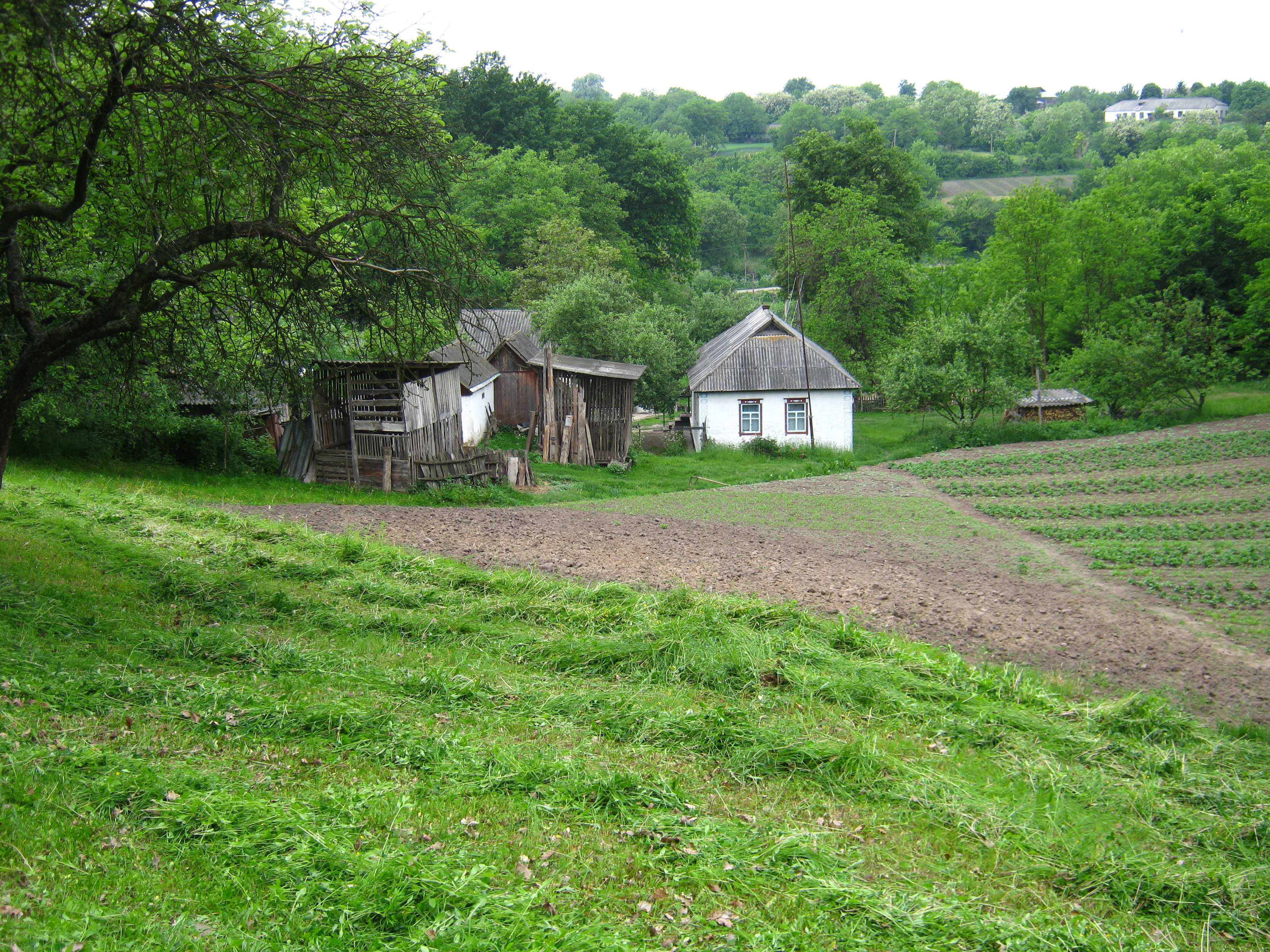 Продається будинок на Черкащині, село Кошмак, вул. Благовісна 5.