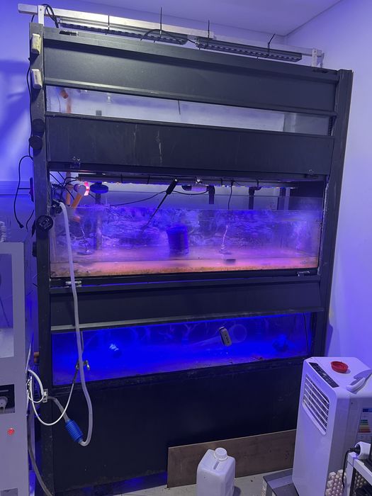 Bateria peixes agua doce ou salgada