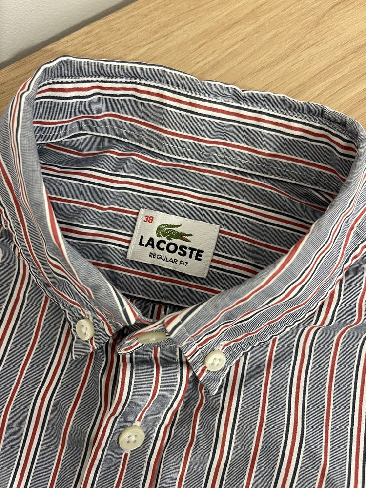 Lacoste nowa męska szara koszula w paski bawełniana 38 regular fit