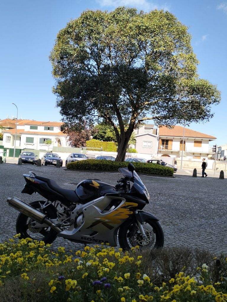 Honda Cbr 600 F4