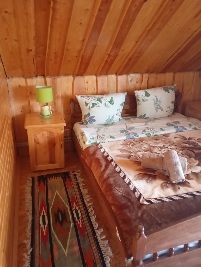 Котедж Сонячний. Говерла