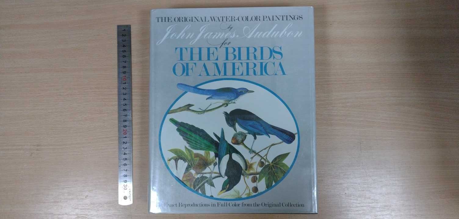 John James Audubon - The Birds of America, Птахи Америки - Одюбон