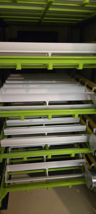 Inkubator bio eggs na 180 jak ful automat