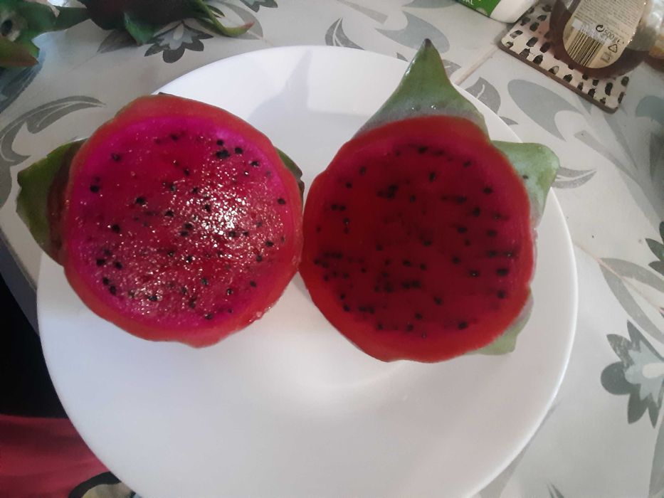 Fruta Dragão orgânica