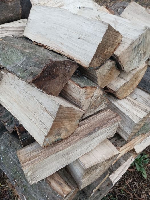 Drewno drzewo opałowe kominkowe transport