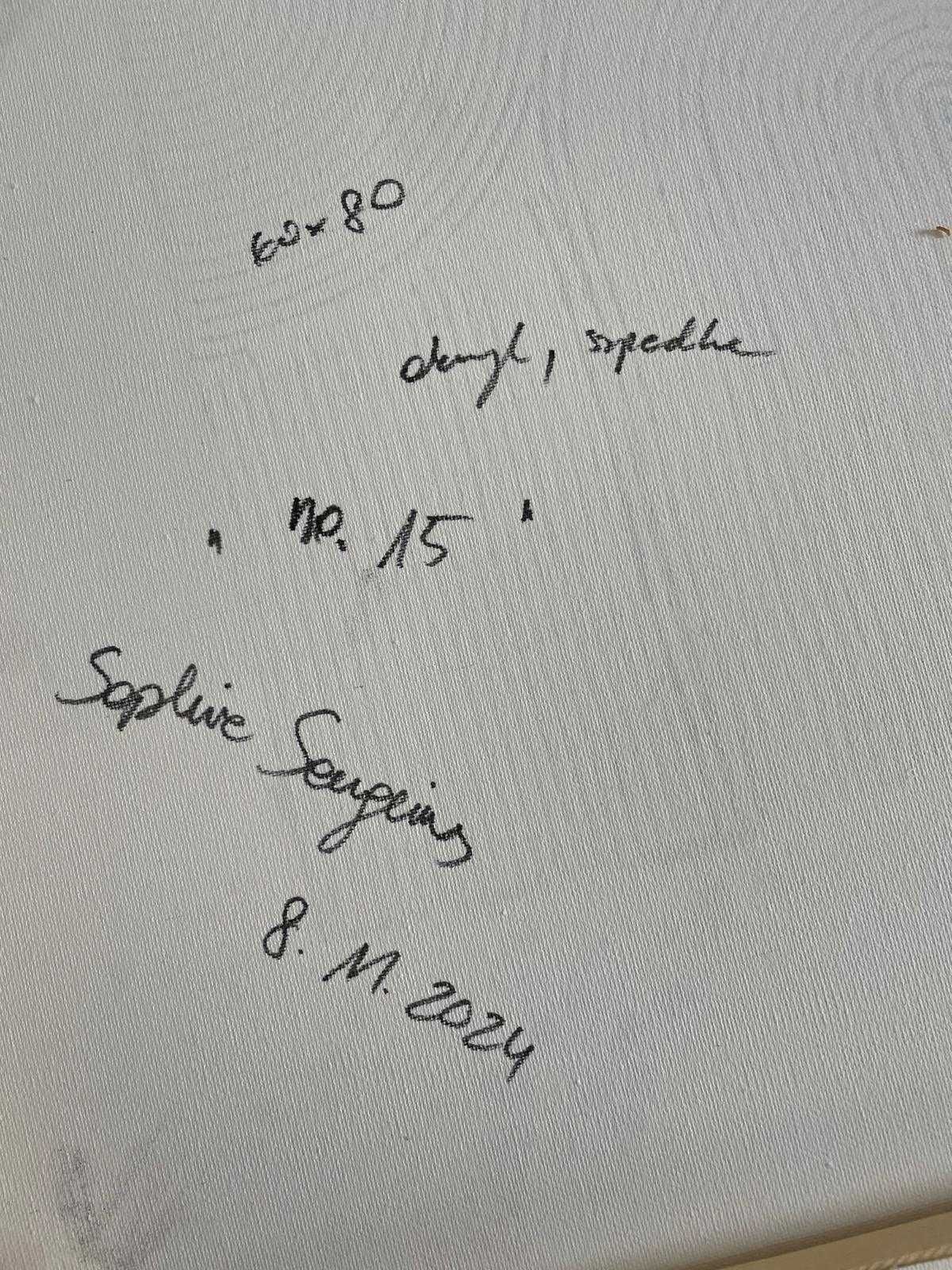 Obraz akrylowy "No. 15" Sophie Sanguis 60x80